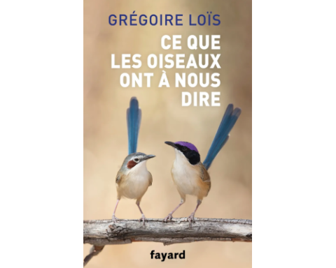 Ce que les oiseaux ont à nous dire de Grégoire Loïs aux éditions Fayard