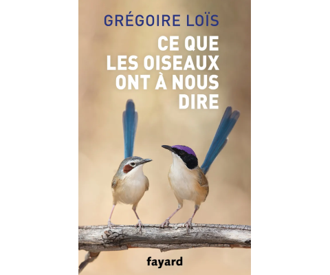 Ce que les oiseaux ont à nous dire de Grégoire Loïs aux éditions Fayard